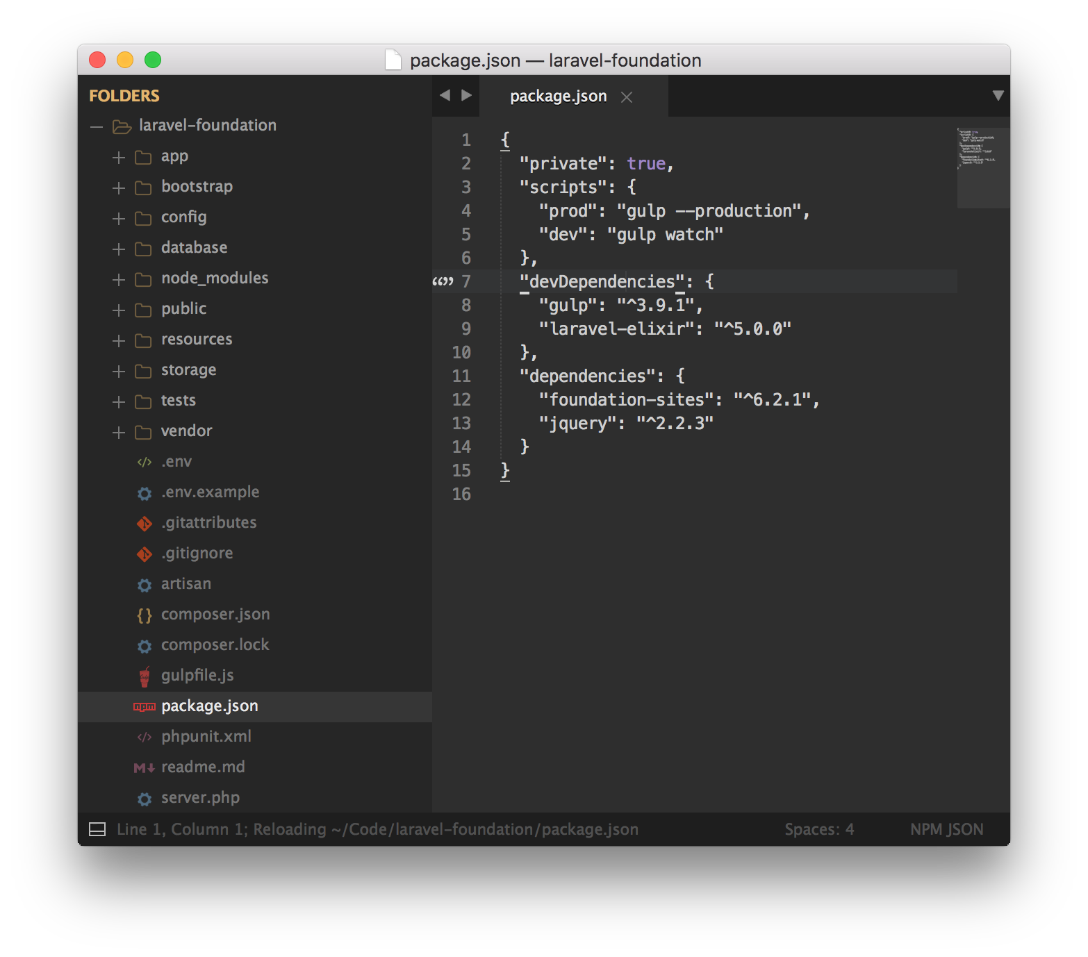package.json file